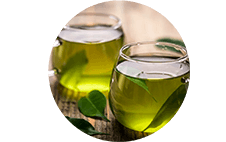 Extract din frunze de ceai verde