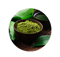 Extract de matcha